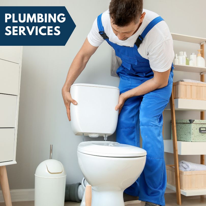 Plumbing Company in Albion, IL